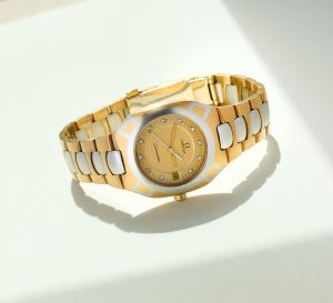 Omega Seamaster Polaris Gold/Platinum